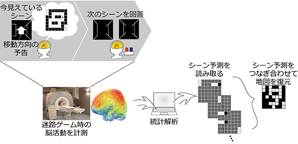 今回の研究の概要を示す図（京都大学の発表資料より）