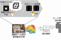 今回の研究の概要を示す図（京都大学の発表資料より）