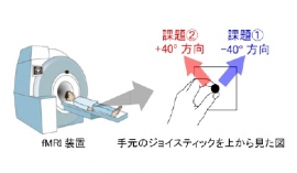 実験参加者がfMRI装置の中で行った運動学習課題の概要を表す図。学習課題は2種類あり、課題①では、正確に右斜め上（−40º：青の矢印）方向にジョイスティックを動かし、課題②では左斜め上（+40º：赤の矢印）方向に動かした。（東京大学などの発表資料より）