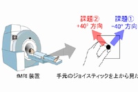 実験参加者がfMRI装置の中で行った運動学習課題の概要を表す図。学習課題は2種類あり、課題①では、正確に右斜め上（−40º：青の矢印）方向にジョイスティックを動かし、課題②では左斜め上（+40º：赤の矢印）方向に動かした。（東京大学などの発表資料より）