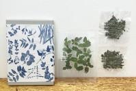 美しいハーブティー「Have a Herbal Harvest」冬の展示販売会が原宿で開催