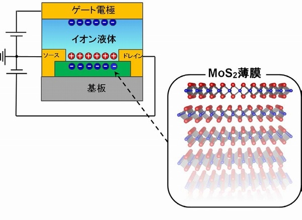 MoS2薄膜をトランジスタのチャネルに用いた電気二重層トランジスタ（EDLT）のデバイス構造。今回の研究で用いたMoS2薄膜の厚さは約20ナノメートル（nm）。正の電圧を加えることでMoS2の表面（原子層1層分の厚さ）にのみ電子が蓄積する。（東京大学などの発表資料より）