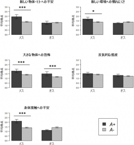 扱いやすさ得点とHTR1A遺伝子型の関連を示す図。縦軸は馴致（乗り馴らし）難易度で、得点が高ければ扱いにくいことを意味している（京都大学の発表資料より）