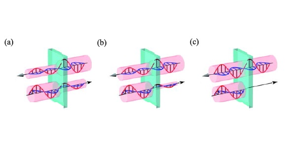 物質中を互いに逆向きに進む一対の光の模式図。物質は直方体で表されており、黒い矢印の方向に光は進んでいる。青い波と赤い波はそれぞれ電気の波と磁気の波を示す。薄桃色の円筒は、光の強さを定性的に表している。 (a)は通常の物質を逆向きに進む一対の光。 (b)は方向二色性。左向きに進む光の吸収は小さく、右向きに進む光の吸収が大きい。(c) 一方向透明現象。左向きに進む光にとっては透明だが、右向きに進む光は強く吸収されている。（東京大学の発表資料より）