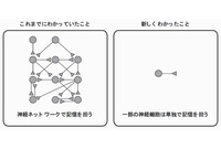 今回の研究成果のイメージを示す図（名古屋大学の発表資料より）