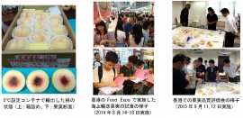 （左）5℃設定コンテナで輸出した桃の状態、（中央）香港のFood Expoで実施した海上輸送果実の試食の様子、（右）香港での果実品質評価会の様子（岡山大学の発表資料より）