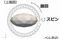 べん毛の「スピン＋旋回運動」のイメージ。べん毛の回転軌跡を連続的に繋げて図示している。（東北大学の発表資料より） 