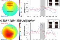 色と形態の統合（上）と位置の共有効果（下）に関連した脳波成分の頭皮上分布と時間変化を示す図。条件間の差分波形を表示。頭皮上分布は、グレーの部分の時間帯の活動（N400成分、300から450ミリ秒）を表示。特徴統合は前頭部、位置共有効果は頭頂、後頭部にそれぞれピークを持つ。（京都大学の発表資料より）