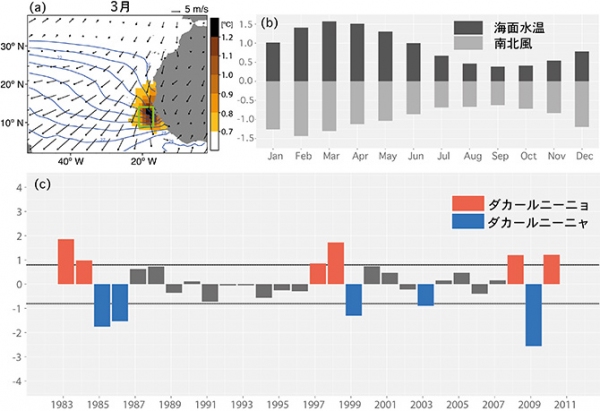  (a)3月の海面水温（コンター）と海上風（矢印）の平均値および海面水温の標準偏差（カラー） (b)ダカール沿岸のボックス（aの緑）で月ごとに領域平均した海面水温と南北風の標準偏差。値は標準偏差で規格化している。解釈のため、南北風は正の値が北風に対応する。(c)3月のダカール・ニーニョ/ニーニャ指数。値は標準偏差で規格化している。実線は0.8標準偏差を示し、この線を越えた年をダカール・ニーニョ／ニーニャと定義した。（海洋研究開発機構の発表資料より）