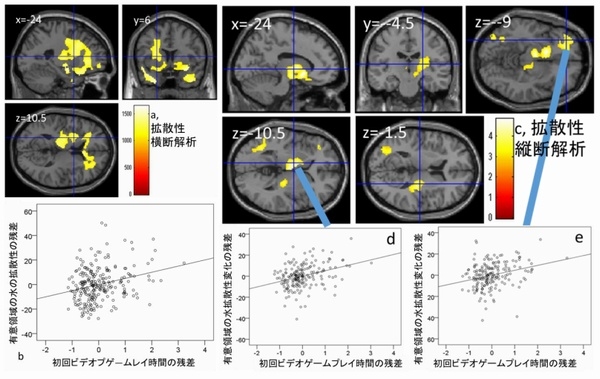 初回参加時におけるビデオゲームプレイ時間と脳の拡散性の正相関（a,b）と数年後の脳の拡散性の変化の正相関（c,d,e）を示す図。（東北大学の発表資料より）