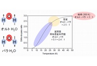 （左）オルトH2OパラH2O分子の模式図。（右）50 K以下の低温では、パラH2Oの方がオルトH2Oよりも安定になり、オルト：パラ比は高温状態（オルト：パラ＝3：1）から変化し、パラH2Oの存在量が増える。（北海道大学の発表資料より）