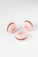サクラのデリース（リンツ＆シュプルングリージャパン発表資料より）