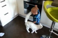 オーブンをいじる赤ちゃんが心配なネコは優しくダメだよと教えます！
