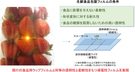 開発した導電性透明ラップフィルムにLEDを接続し、苺の包装フィルムとして用いた例（産総研の発表資料より）