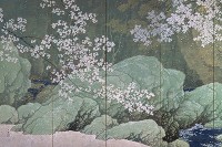 「春らんまんの日本画まつり」東京国立近代美術館で開催、水面に散る桜を描いた名作《行く春》など