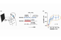 (a) 今回の実験では、一定間隔で繰り返される音（青）が一拍抜けるか連続音（赤）が停止すると被験者が手元のボタンをすぐに押した。(b) 約250ミリ秒の刺激間隔を境に反応時間と刺激間隔の関係が変化した。（北海道大学の発表資料より）