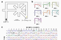 迷路課題と行動試験の結果 （a）迷路の俯瞰図。マウスは毎回スタート地点に置かれ、ゴール地点のフードペレットまで走る。（b）同じ場所を2度以上通らずにスタートからゴールまで行く道のりは7通りある。経路1から経路7の順で距離は短い。（c）ある1匹のマウスの走行軌跡。1日20試行を行い、最短経路（経路1）を見つけて学習基準をクリアするまで11日間かかった。（d）各マウスが最短経路を見つけて学習基準をクリアするまでにかかった日数。3日から18日までばらついている。（e）学習初期の探索行動（経路1-7を外れて迷路中を歩きまわった試行; （c）の黒色の軌跡）の頻度と最短経路を見つけるまでに要した日数との間に有意な負の相関があった（探索行動が多いほど、少ない日数で最短経路を見つけられた）。（東京大学の発表資料より）