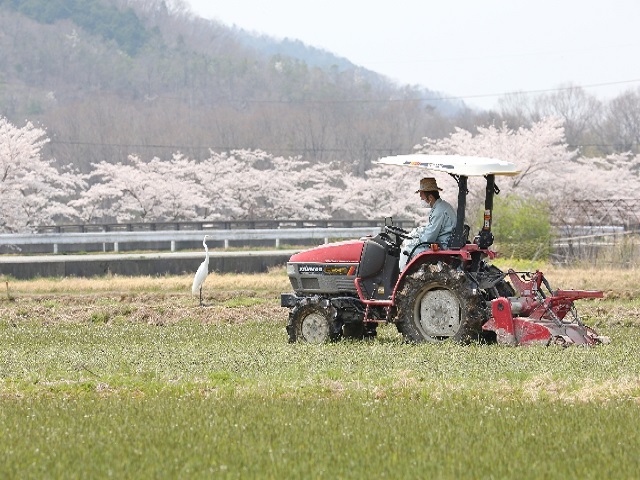 官民対話では2020年までに農機の無人運転を実現する目標が表明されたほか、生産資材の価格低減や農業関連の流通構造改革なども打ち出された。いずれも環太平洋戦略的経済連携協定(TPP)発効を見据えたものだ