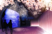 京都水族館、幻想的な春景色×イワシの体感型アート - 桜をイメージした香りや音楽も導入