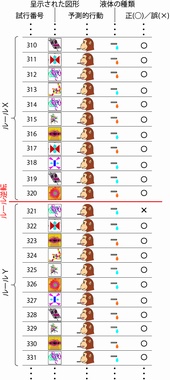 課題のルールが逆転する前後でのサルの行動を示す図。ルールＸのもとでは、カテゴリーＡの図形がジュース、カテゴリーＢの図形が食塩水を予告する刺激となっているが、ルールＹのもとでは、その関係が逆になっている。この例では、320試行目と321試行目の間でルールがＸからＹに変わっているが、サルにはルールが逆転したことについての手掛かりは一切与えられていない。サルは一つの図形の意味が変化したことを経験しただけで（321試行目）、ほかの図形についても意味が変化するということを予測しながら取るべき行動を選択していることがわかる（322試行目～328試行目）。これは、サルが、ルールの逆転に際して、図形と液体の関係を試行錯誤的に記憶し直しているのではなく、カテゴリーを使って各図形の後に与えられる液体を予測していることを示している。（東北大学の発表資料より）