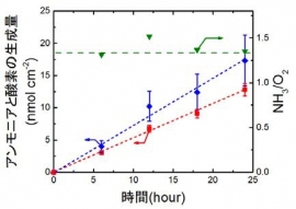 アンモニア（◆）と酸素（■）の生成量の時間依存性とその生成比率（▼）を示す図（北海道大学の発表資料より）