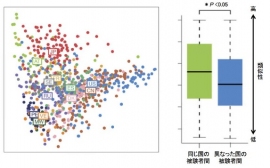 861人の成人被験者の腸内細菌叢の類似性（早稲田大学の発表資料より）