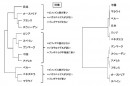 菌種組成からの12カ国の関係（左）と、食事情報からの12カ国の関係（右）（早稲田大学の発表資料より）