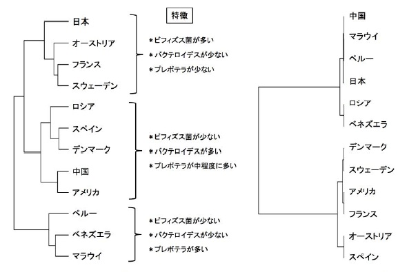 菌種組成からの12カ国の関係（左）と、食事情報からの12カ国の関係（右）（早稲田大学の発表資料より）