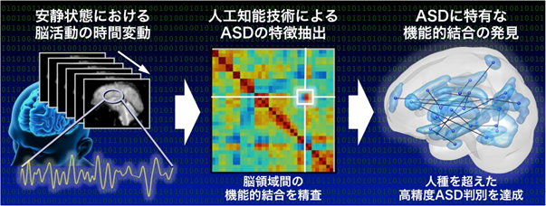 人工知能技術によりASDの特徴を抽出して判別するイメージ図（国際電気通信基礎技術研究所発表資料より）