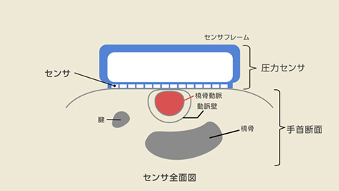 血圧測定に必要なセンサの全面図（イメージ）（写真：オムロン ヘルスケア発表資料より）