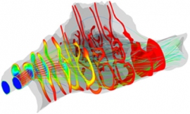 チンパンジーの鼻腔の気流と温度変化のシミュレーション。線は気流（青から赤にかけて速さが増す）、断面は温度分布（青から赤にかけて温度が増す）を表す。（京都大学の発表資料より）
