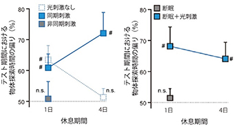 マウスの記憶定着イメージ図（理化学研究所発表資料より）