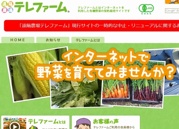 楽天は、有機野菜の遠隔栽培サービスを提供しているテレファームに出資した。写真は、テレファームのWebサイト。