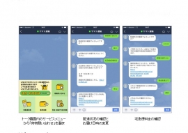 サービス内容（ヤマト運輸の発表資料より）