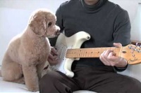 何とも絶妙なタイミングで弾いてくれるモカちゃん！かわいすぎです！

<iframe width=