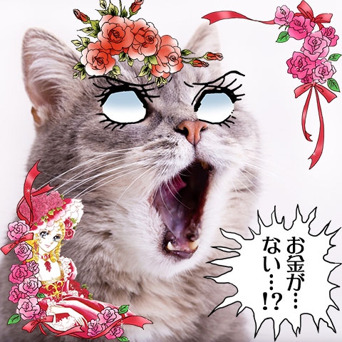 (C)Ikeda Riyoko Production