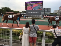 東京都競馬＜９６７２＞（東１・売買単位千株）の２０１６年度・第２四半期の業績（１６年１～６月累計・連結）は、各事業部門の利益の中で競馬・オートレースを中心とする「公営競技事業」の伸びが目立ち、とりわけ競馬人気の回復を示唆する決算となった。