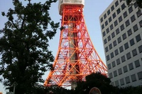 東京タワーの特別展望台がリニューアル工事のために10月3日から2017年夏ごろまで約10カ月間、営業が休止される。