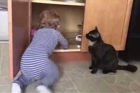 棚に入り込んだ赤ちゃんを見るとおもむろにドアを閉めるネコ！！