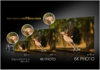 パナソニックが開発したミラーレス一眼カメラ「GH5」の「6K PHOTO」のイメージ（写真：パナソニック発表資料より）