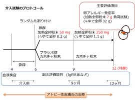 研究実施手順（写真：国立成育医療研究センター発表資料より）