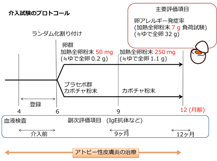 研究実施手順（写真：国立成育医療研究センター発表資料より）