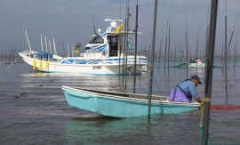 有明海に浮かぶヤマハ海苔養殖専用船「DW-480-0A」