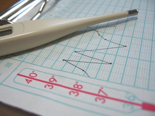 国民健康保険制度を悪用して高額な治療を安い自己負担で受ける外国人が増加している。国民の貴重な財産が今食い物にされているのだ。