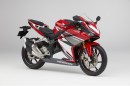 CBR250RR（参考出品車・市販予定車）（本田技研工業の発表資料より）