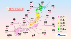 桜満開予想（ウェザーニューズの発表資料より） 