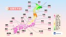 桜開花予測