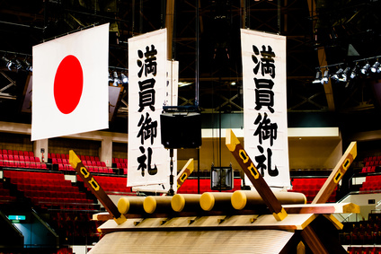 大相撲　注目の大型力士・小柳　新入幕も間近に