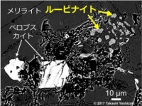 ルービナイト（薄灰色の部分）の電子顕微鏡写真。（写真：東北大学発表資料より）