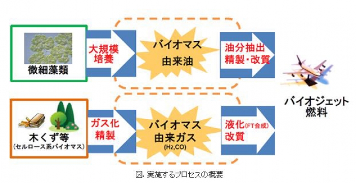 バイオジェット燃料ができるまで。（NEDO発表資料より）